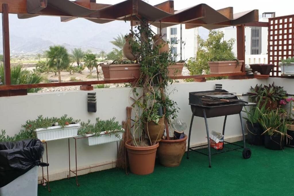 Zahrada ubytování NomadTours Marina Apartment Jebel Sifah