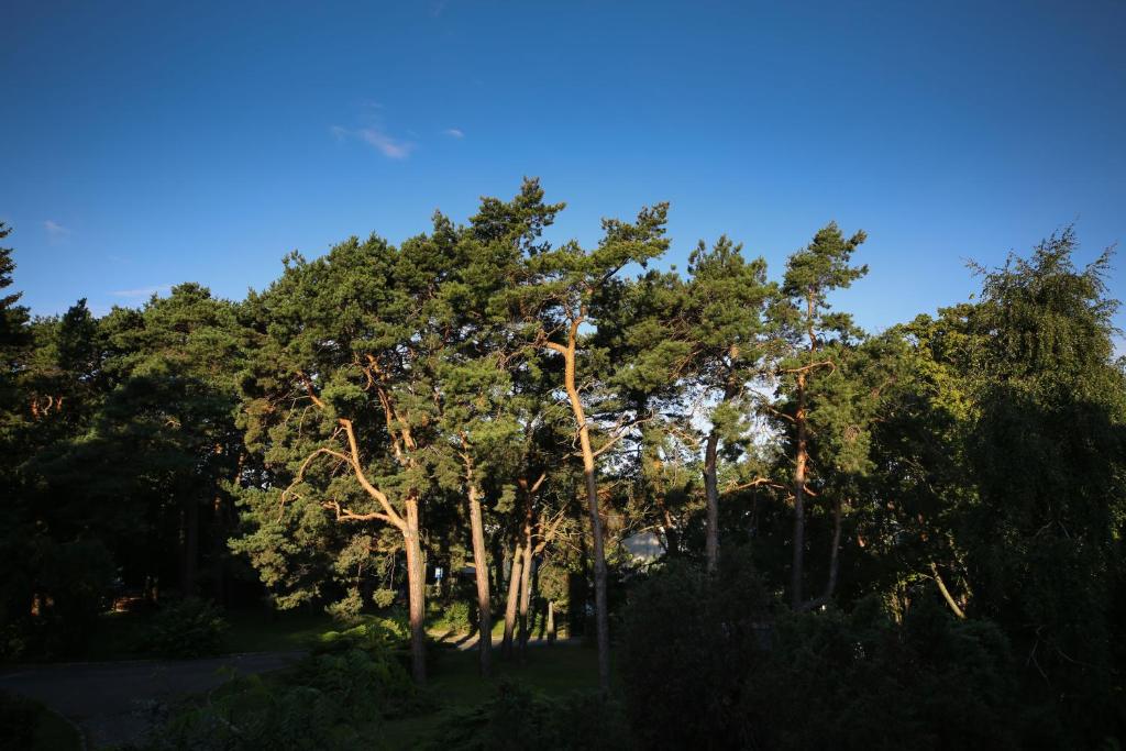 Hotel Pomaranczowa Plaza - Resim 30