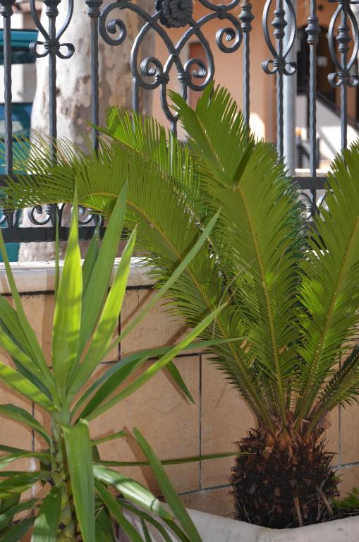 A garden outside Residence Della Vista