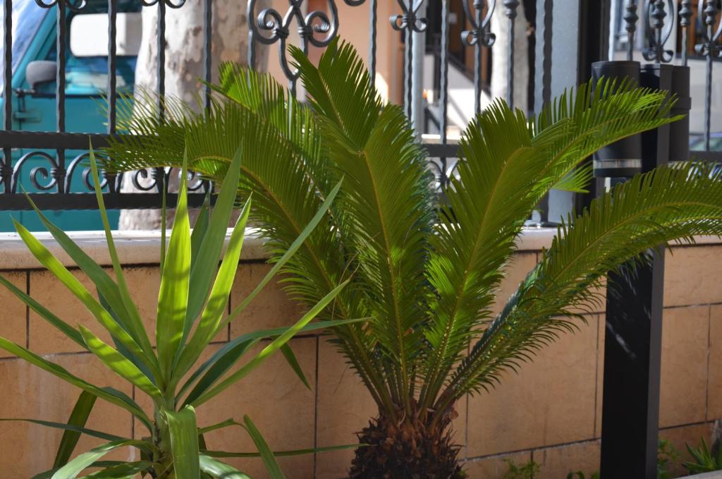 A garden outside Residence Della Vista