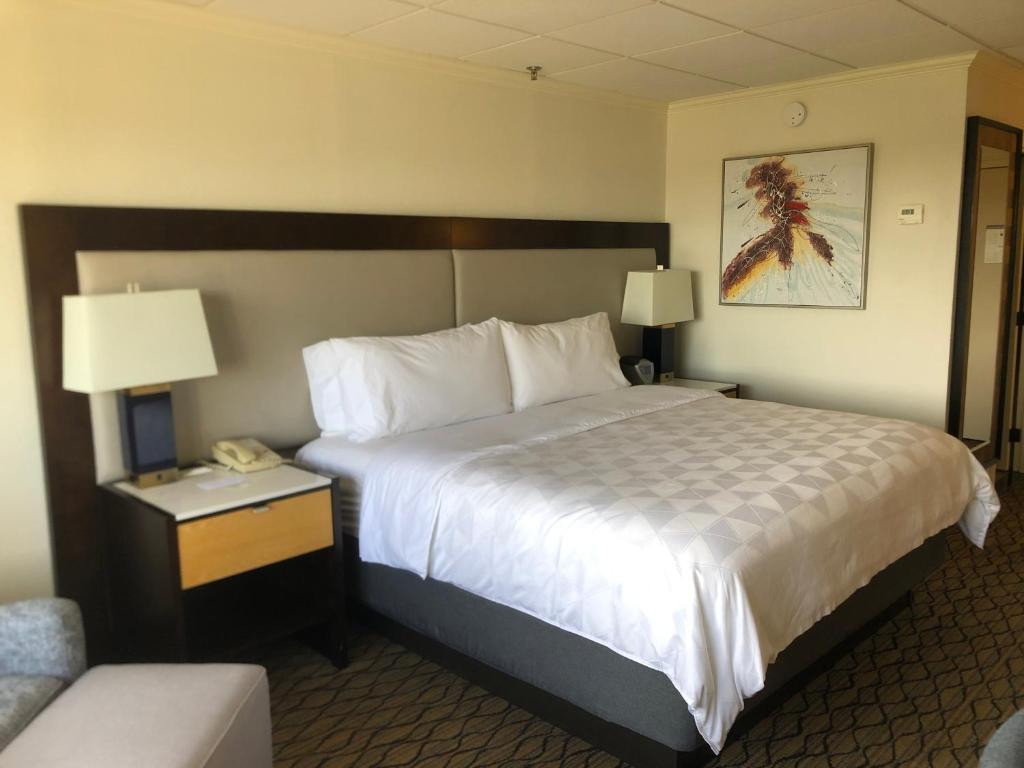 Holiday Inn Clark - Newark by IHG - 标准的国王室与滚动淋浴 - 通信访问