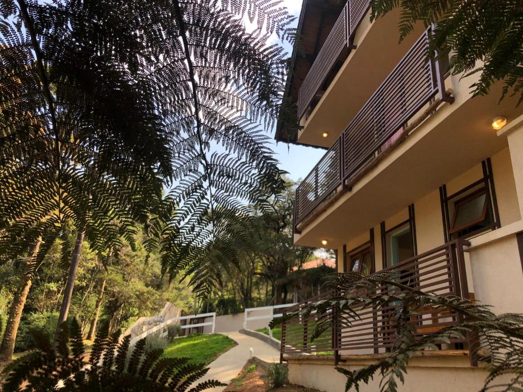 une image d'un bâtiment avec un plafond planté de palmiers dans l'établissement Refúgio Pica-Pau - Monte Verde, à Monte Verde