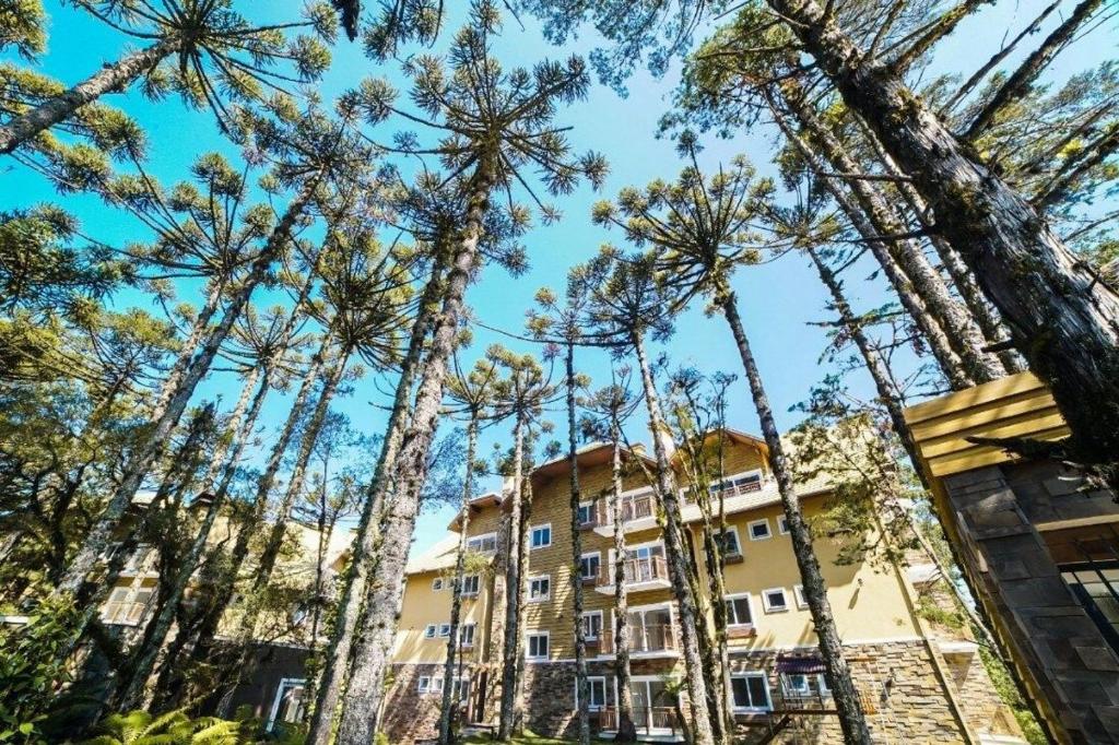  Resolute Imoveis apto 105 Citrino