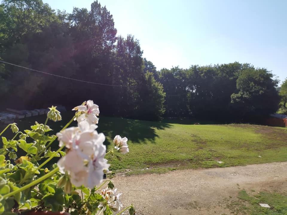 Ein Garten an der Unterkunft VILLA COLLE