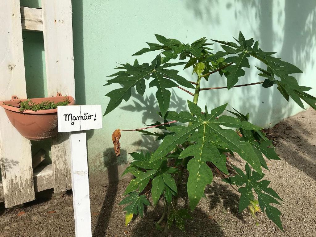  Casa em Bombinhas Praia de Canto Grande para 8 pessoas