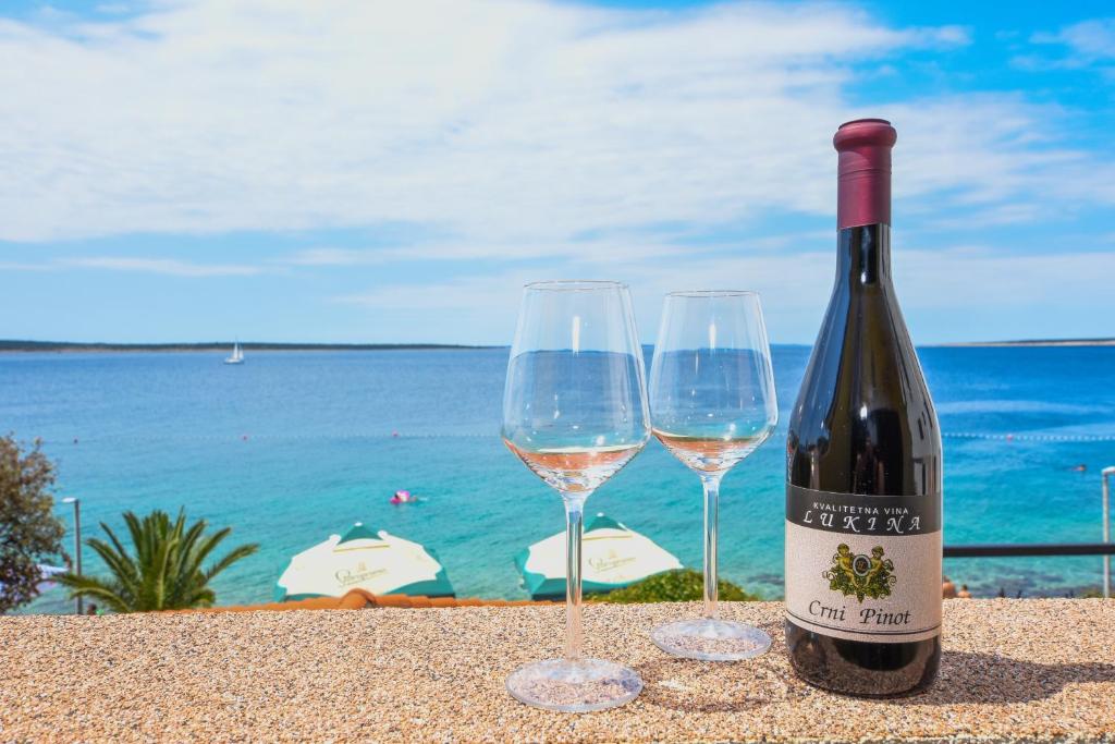 dos copas de vino sentadas en una mesa junto al océano en Apartmani Plazibat en Mandre