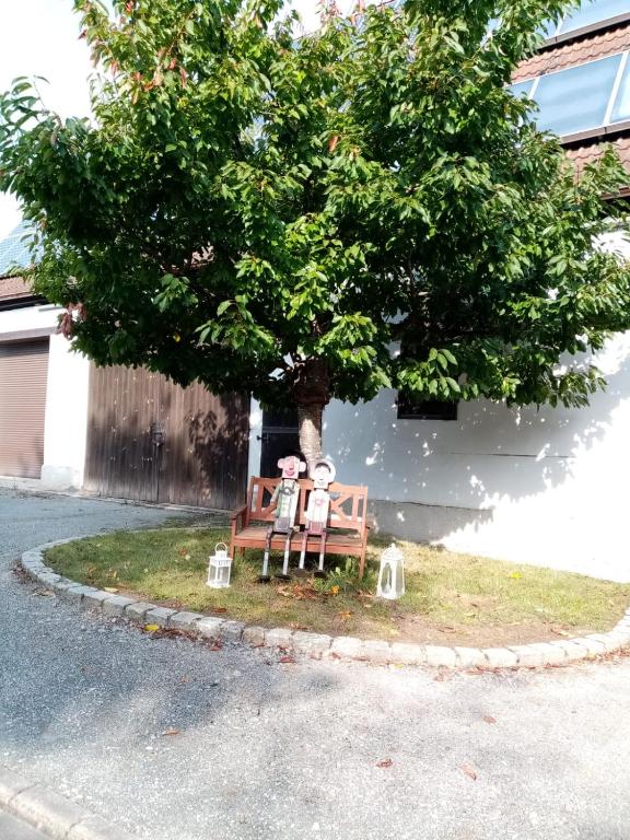 Zahrada ubytování Pension Ba-Bett's