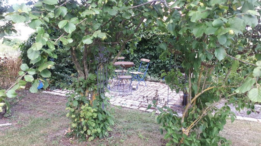 Zahrada ubytování Pension Ba-Bett's