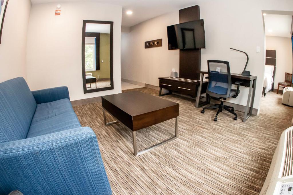 Holiday Inn Express - Allentown North, an IHG Hotel - Deluxe Suite-淋浴/非吸烟的移动性访问卷
