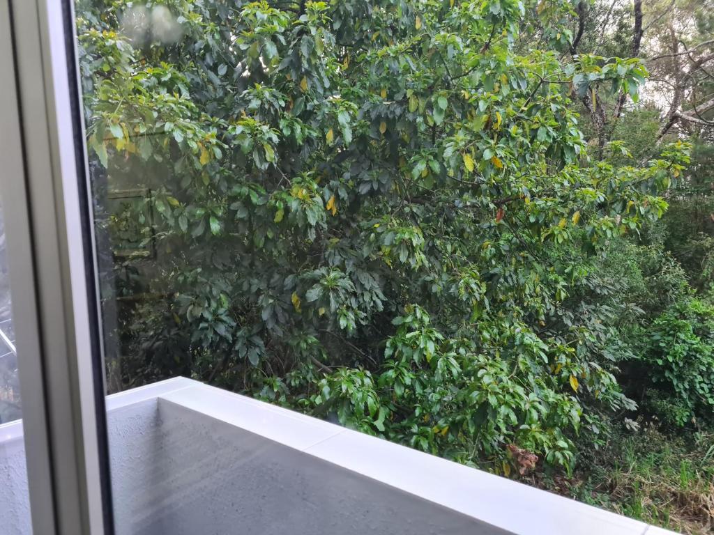 Residencial Posiville-Ani