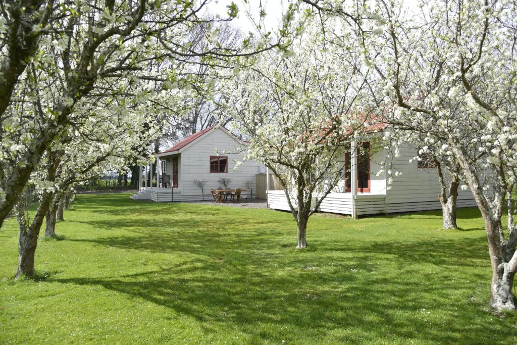 une maison blanche avec des arbres dans la cour dans l'établissement Terracotta Lodge & Cottages, à Carterton