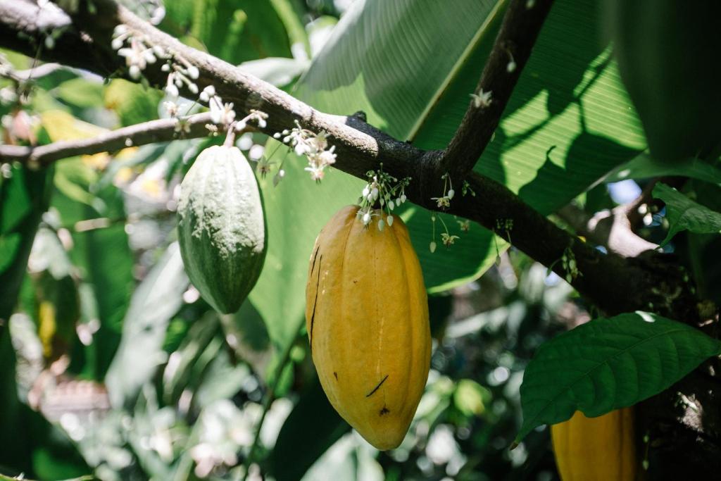  Pousada Burundanga