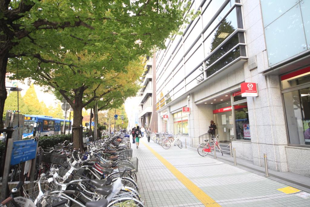 Jízda na kole v ubytování Sotetsu Fresa Inn Kawasaki-Higashiguchi nebo okolí