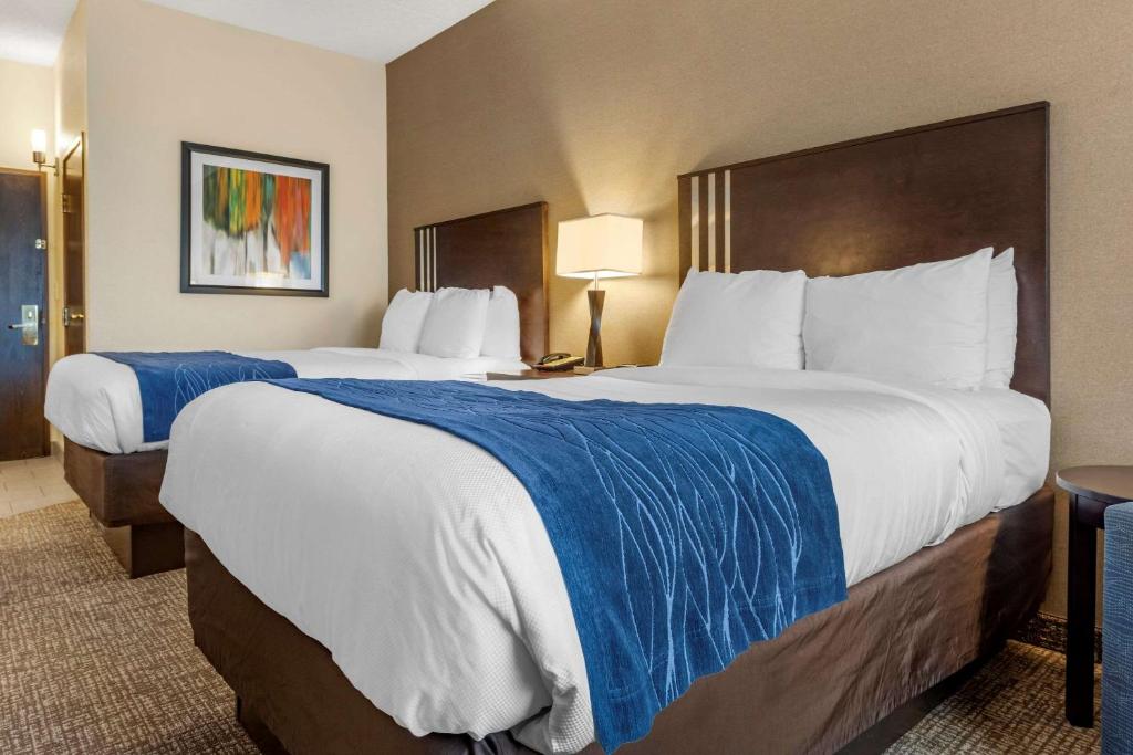 Comfort Inn & Suites Butler - Habitación Doble Con Dos Camas Dobles: No Fumar