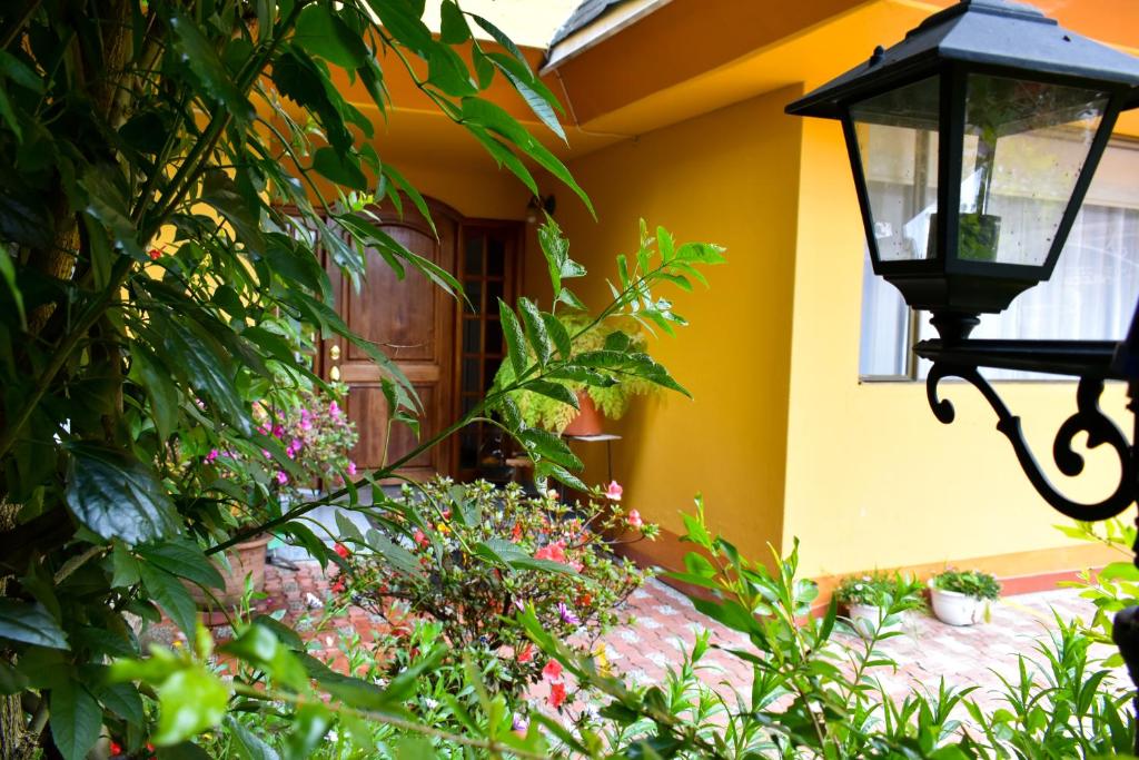 Zahrada ubytování Casa Iris