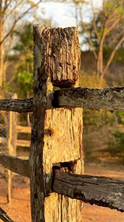  Sítio Lavras do Abade