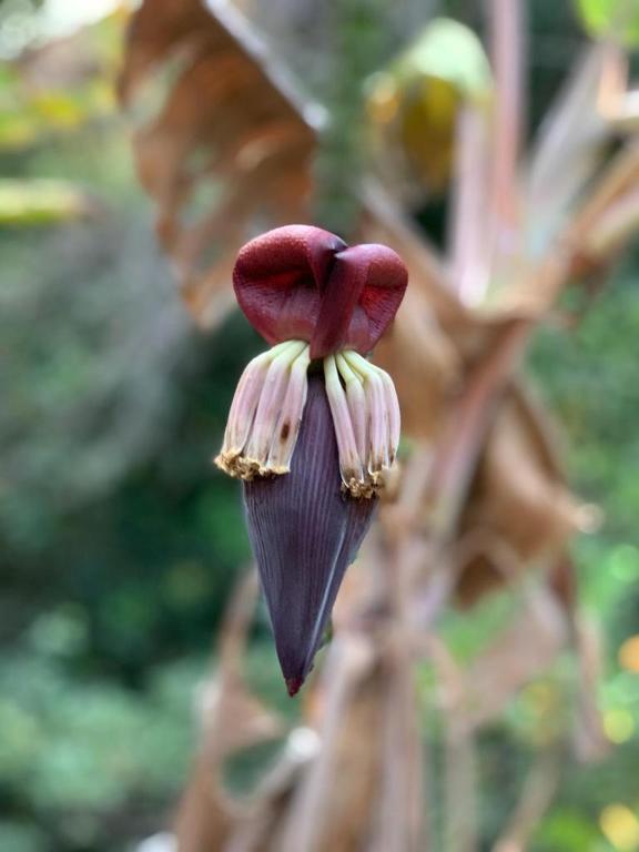  Sítio Lavras do Abade