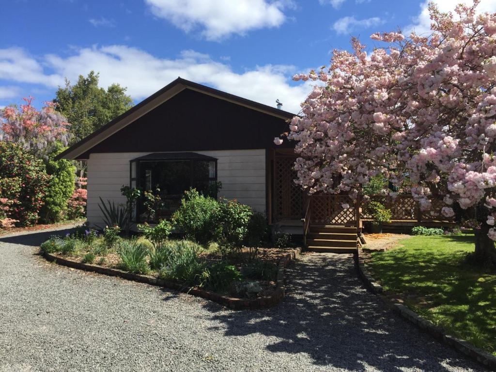 ein Haus mit einem blühenden Baum im Hof in der Unterkunft Chris's Cabin in Greytown