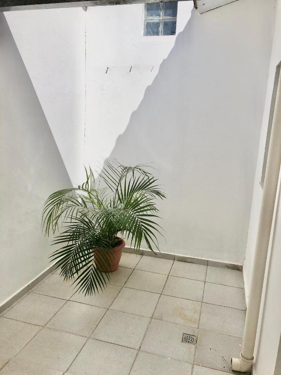  Casa com ótima localização