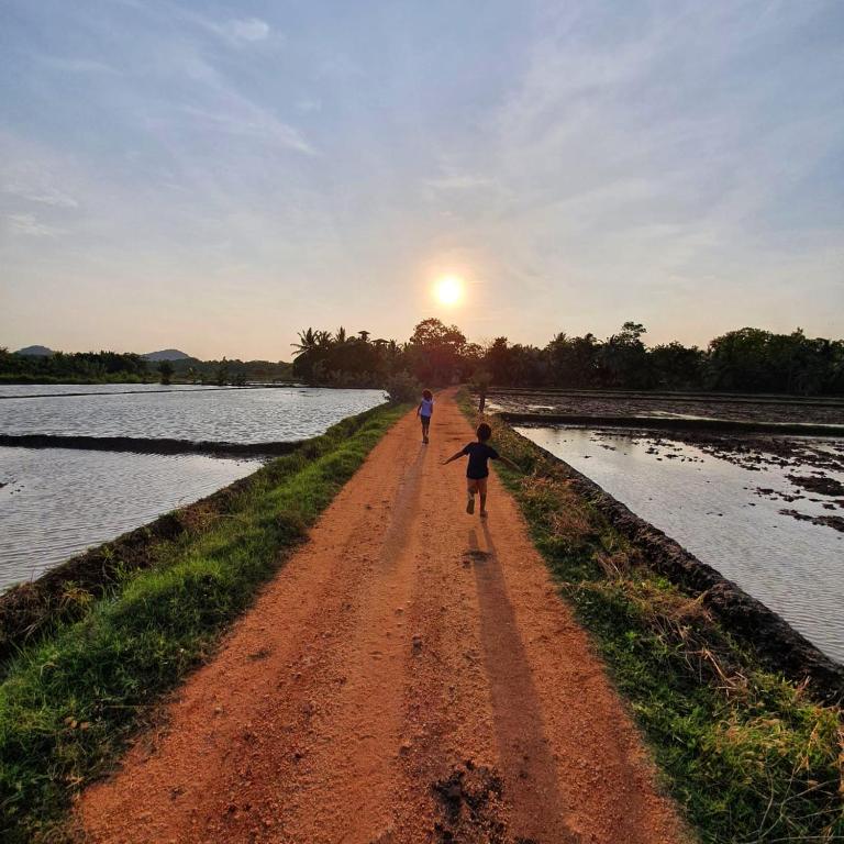 Mailagama Cinnamon Residence - 6