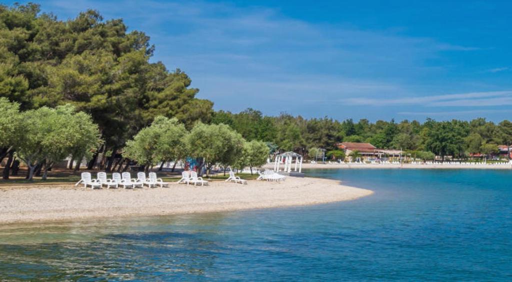 plaża z leżakami, drzewami i wodą w obiekcie Villa Victory w mieście Umag