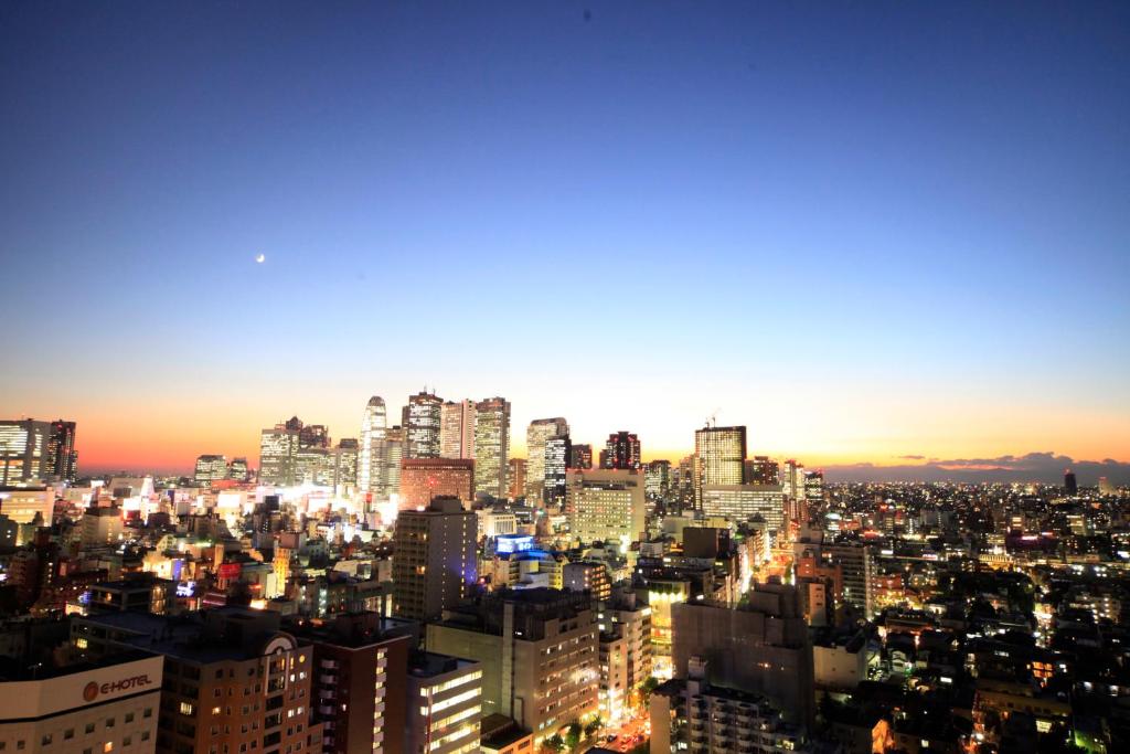 a view of a city at night at Sotetsu Fresa Inn Higashi Shinjuku in Tokyo
