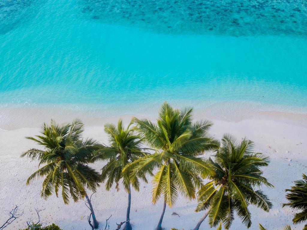 Fotografija u galeriji objekta Nihaali Maldives u gradu Kudarikilu