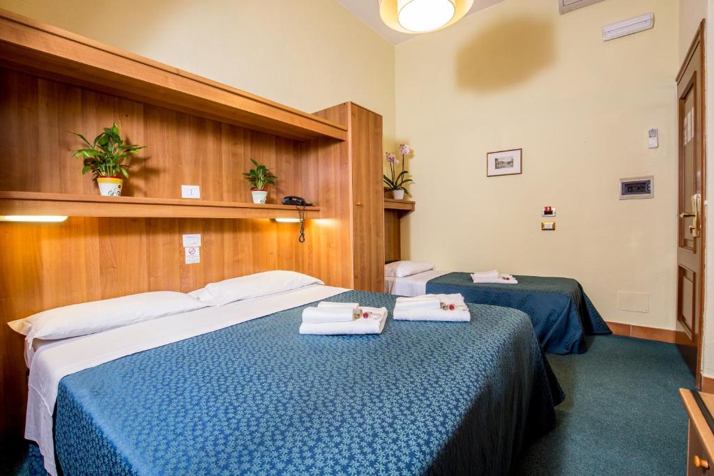 Hotel Trastevere - Resim 17