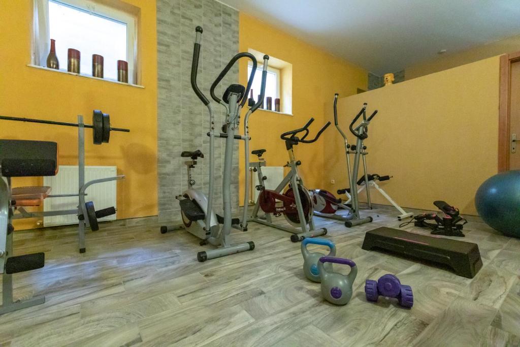 Centrum fitness w obiekcie Hotel Vital