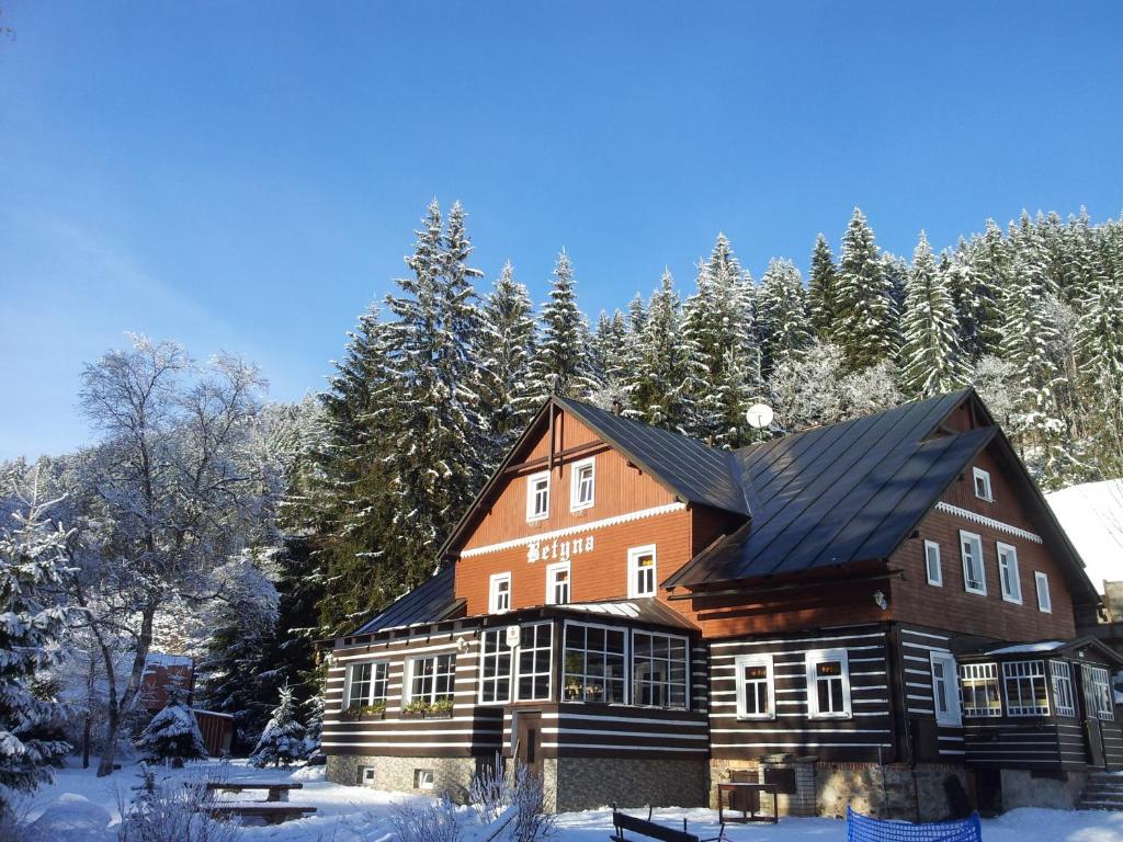 een groot houten huis in de sneeuw met bomen bij Chata Betyna in Pec pod Sněžkou