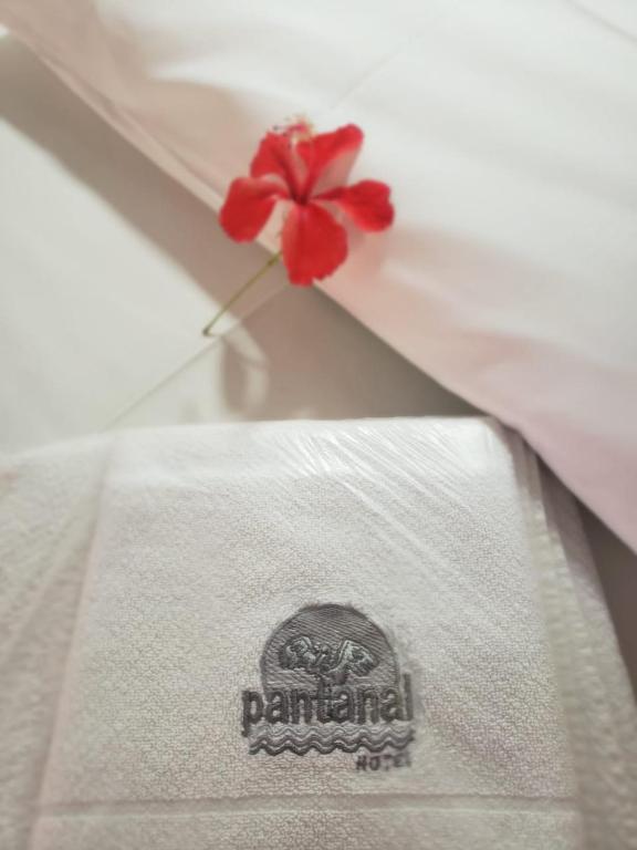  Pantanal Hotel