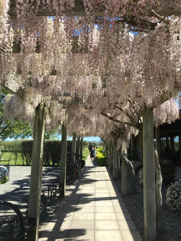 Te Waiharakeke Holiday Home - Resim 6