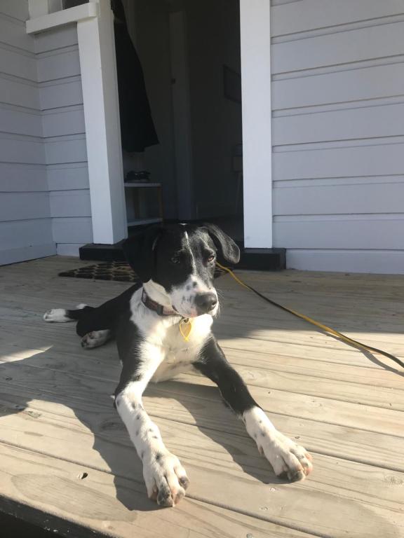 Te Waiharakeke Holiday Home - Resim 12