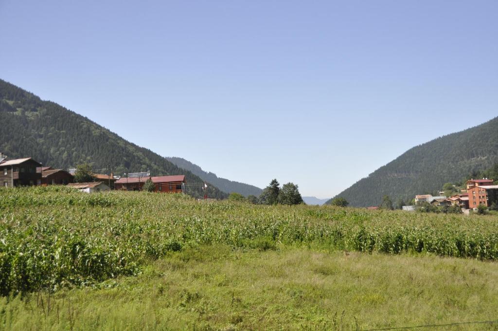 Táj az apartman közelében