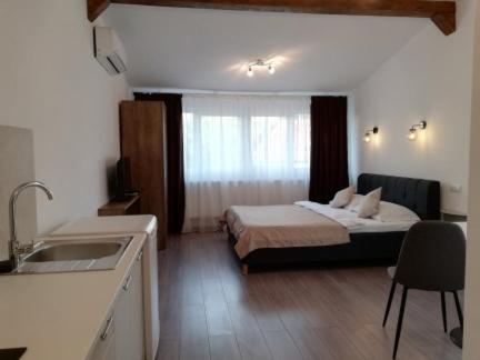 Il comprend une chambre avec un lit et une cuisine avec un évier. dans l'établissement Cara Studio cu parcare - Cluj-Napoca zona Republicii, à Cluj-Napoca