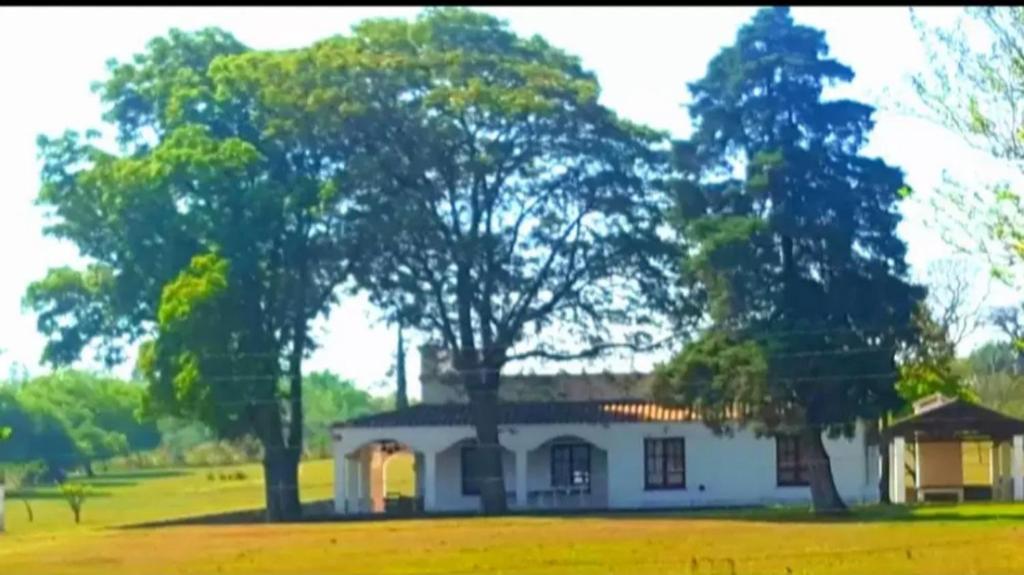 ein weißes Haus mit zwei Bäumen auf einem Feld in der Unterkunft Finca La Encantada in San Miguel de Tucumán