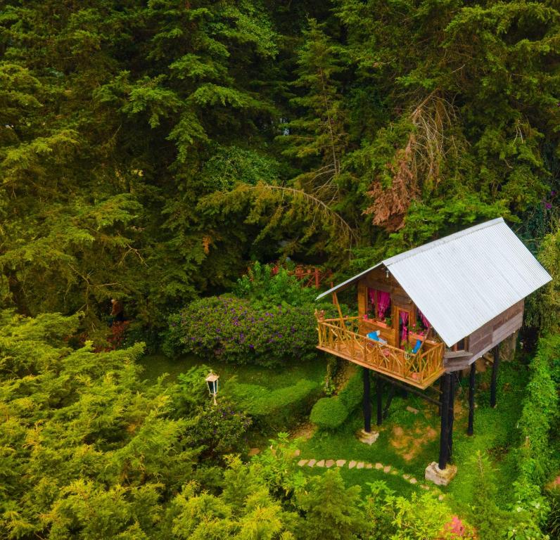 una vista aérea de una casa en el árbol con un techo blanco en Los Naranjos Town Houses, en Los Naranjos