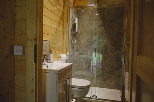 e bagno con doccia, servizi igienici e lavandino. di Cosy Log Cabin - The Dookit - Fife a Markinch