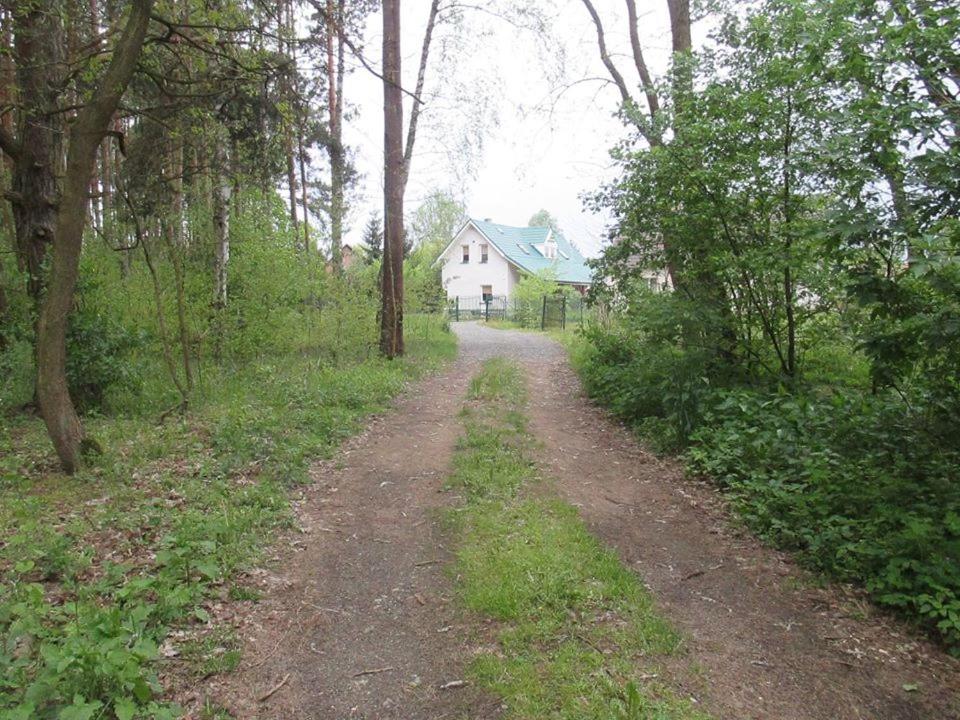 a dirt road leading to a house in the woods at Pensjonat agroturystyczny Sosnówka - KOSARZYN in Kosarzyn