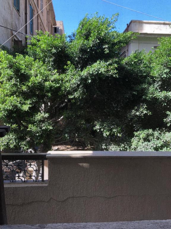 Fotografie z fotogalerie ubytování Caesar House v destinaci Alexandria