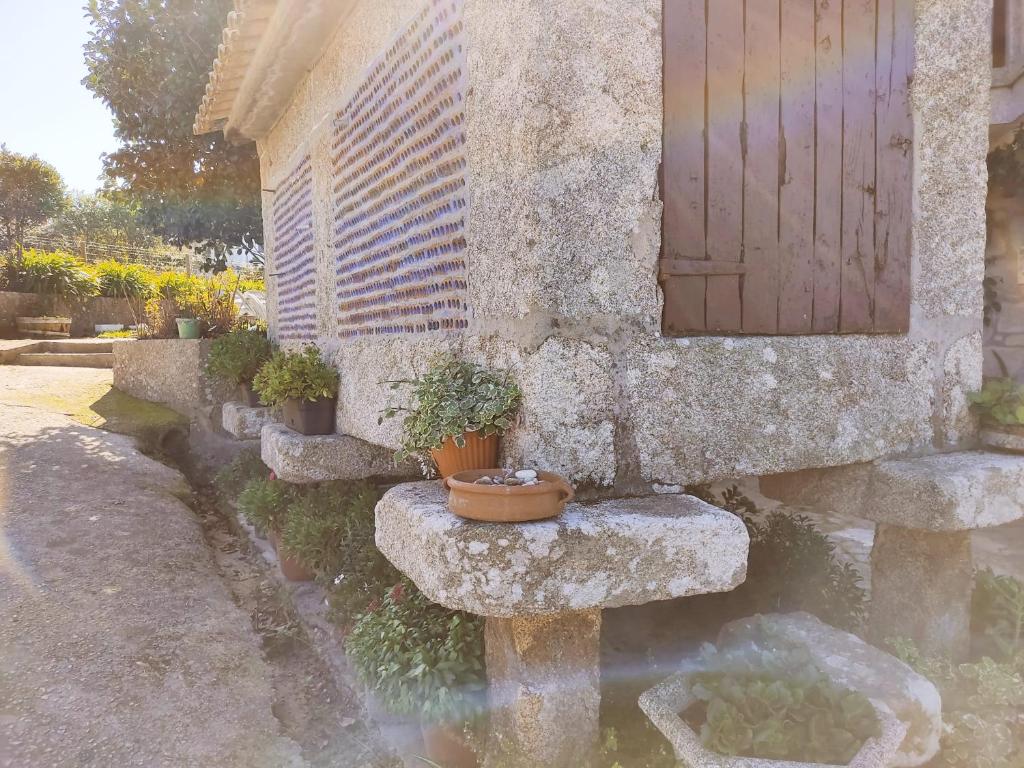 Zahrada ubytování Casa Rural Area con piscina