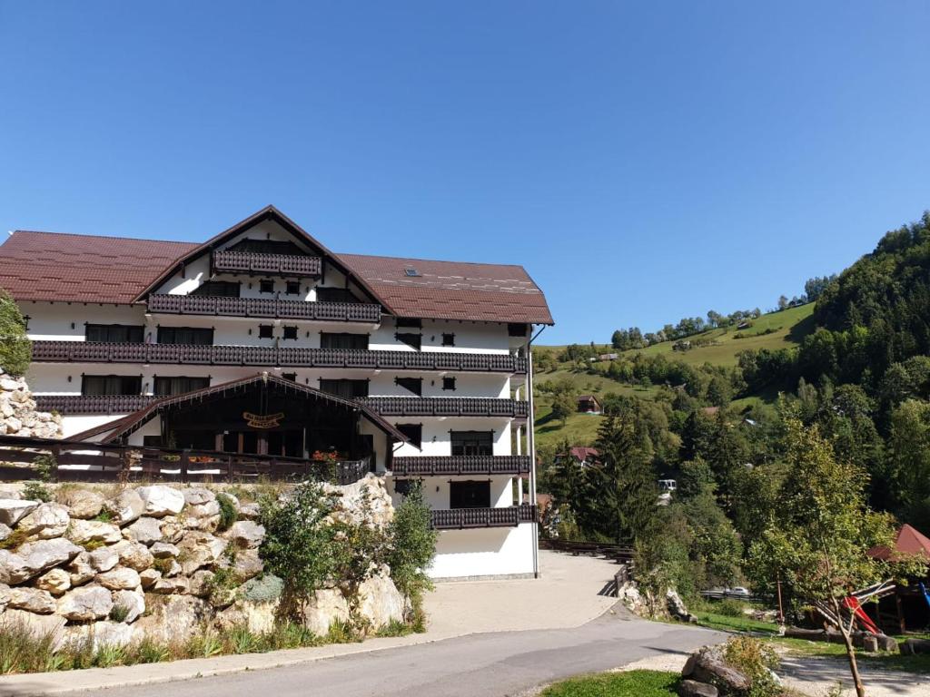 Complex Vraja Muntelui