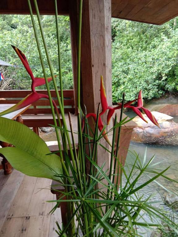 The Canale Boutique Stay Koh Kood - 17