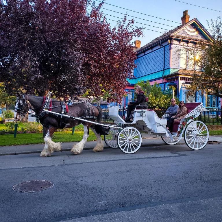 James Bay Inn Hotel, Suites & Cottage - Resim 30