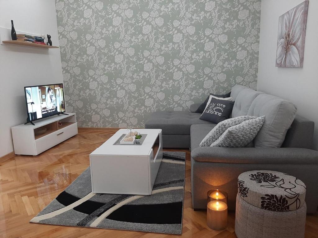 un soggiorno con divano e TV di Carev Dvor a Vrdnik
