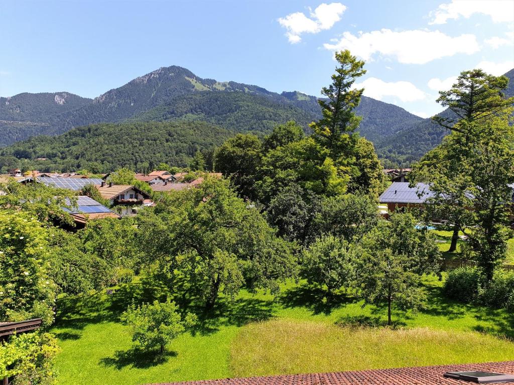 a green field with trees and mountains in the background at Ferienwohnung Alpenfex in Unterwössen