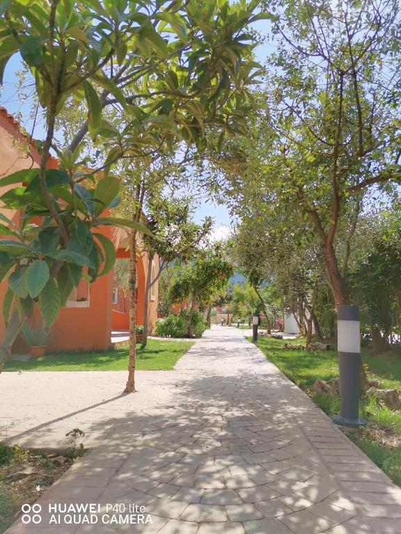 Zahrada ubytování Navigator Villas - Houses