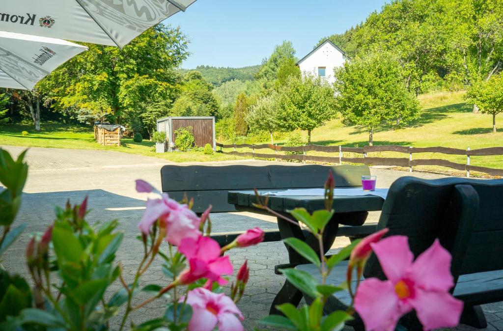Příroda nedaleko hotelu