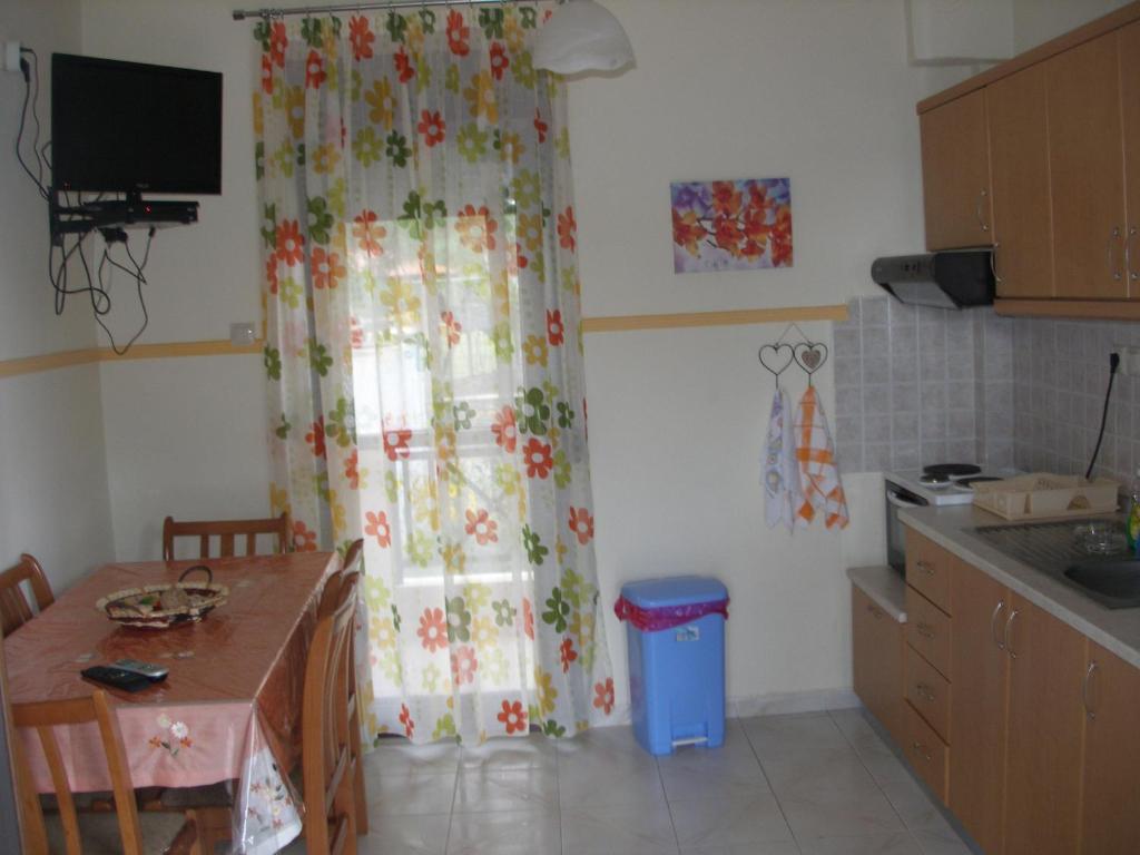 Kuchyň nebo kuchyňský kout v ubytování Lampos House Vourvourou
