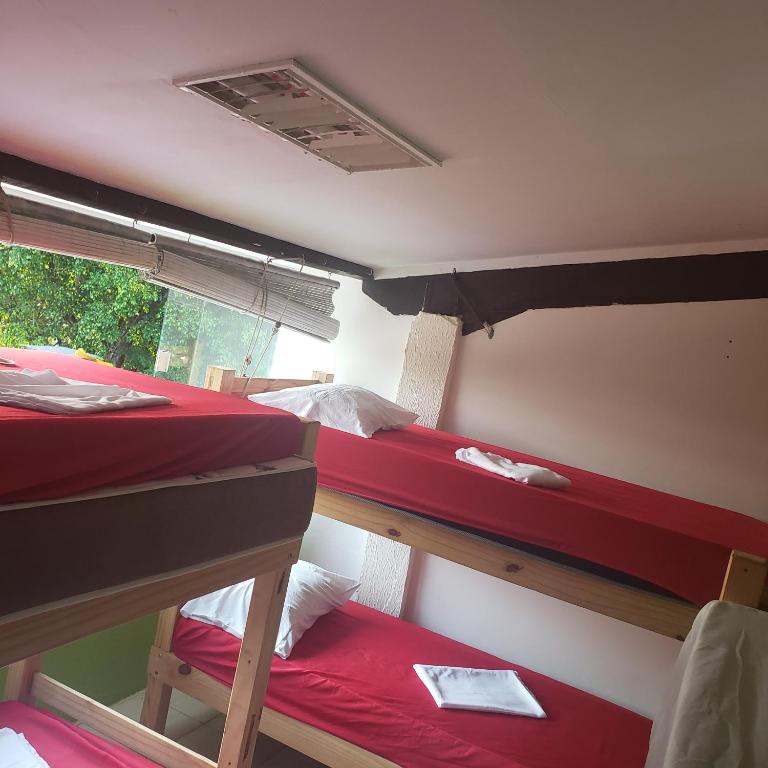  Aloha hostel